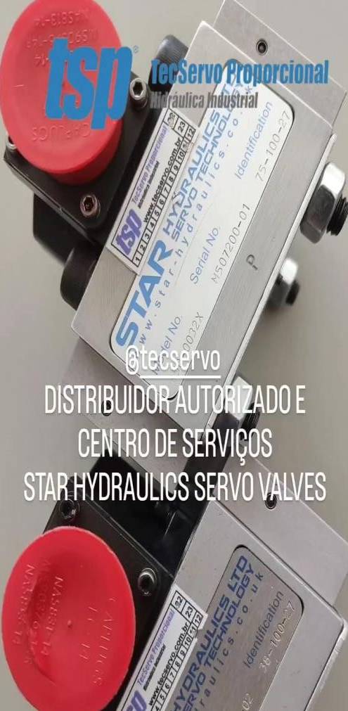 Service Star Hydraulics 3